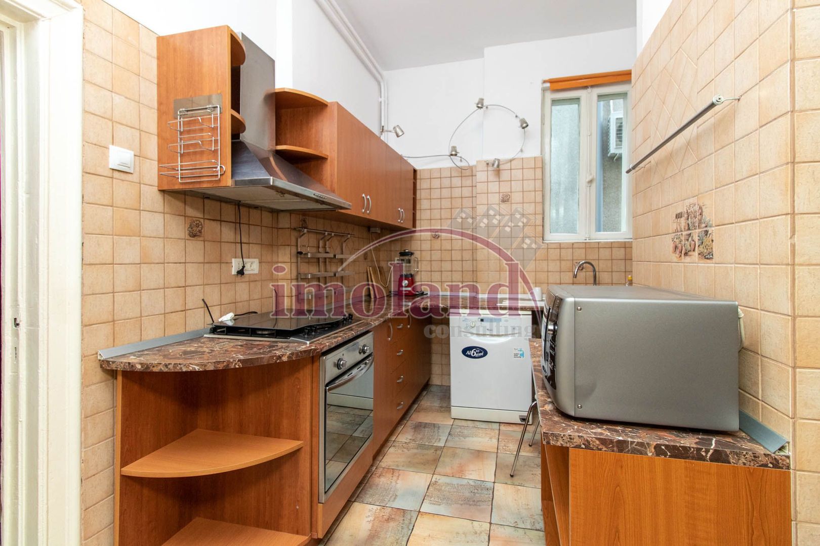 Inchiriere - Rezidenta/Birouri - Vila cu curte - Aviatorilor - Poză 13