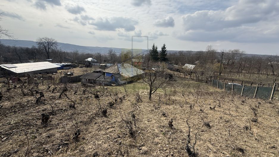 Teren intravilan Dobrovat + Casa Batraneasca - Poză 5