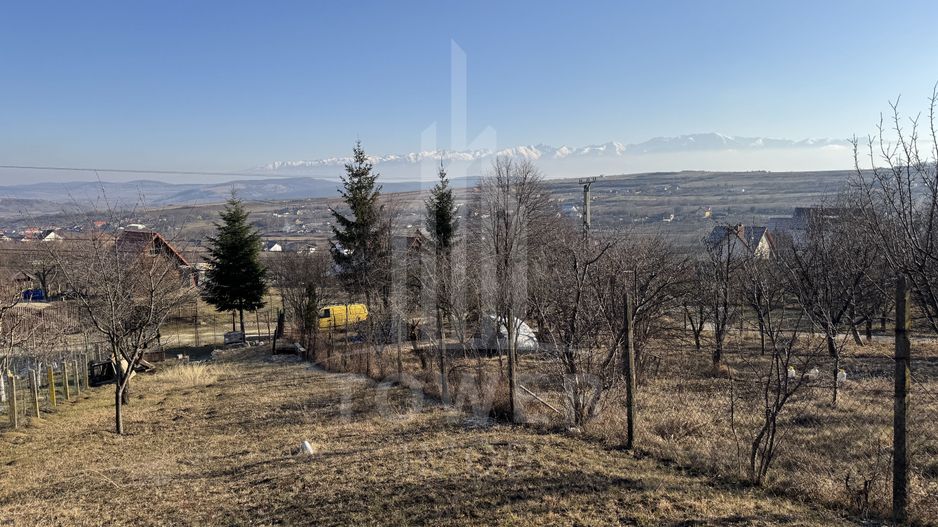 Casa cu 3 camere si teren | 111mp utili 450mp teren | Daia Noua | EXCLUSIVITATE - Poză 2