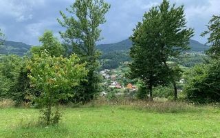 Teren intravilan 5360mp Bistrita Nasaud | Tiha Bârgăului - Poză 3