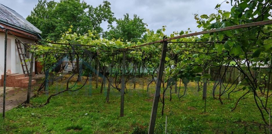 Casă bătrânească locuibilă. - Poză 3