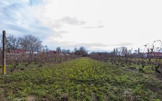 Casa si teren 3365mp Sascut - Poză 30