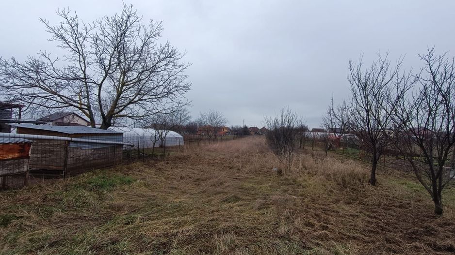 Casă cu teren generos 1.305 mp | Curtici – Arad - Poză 6