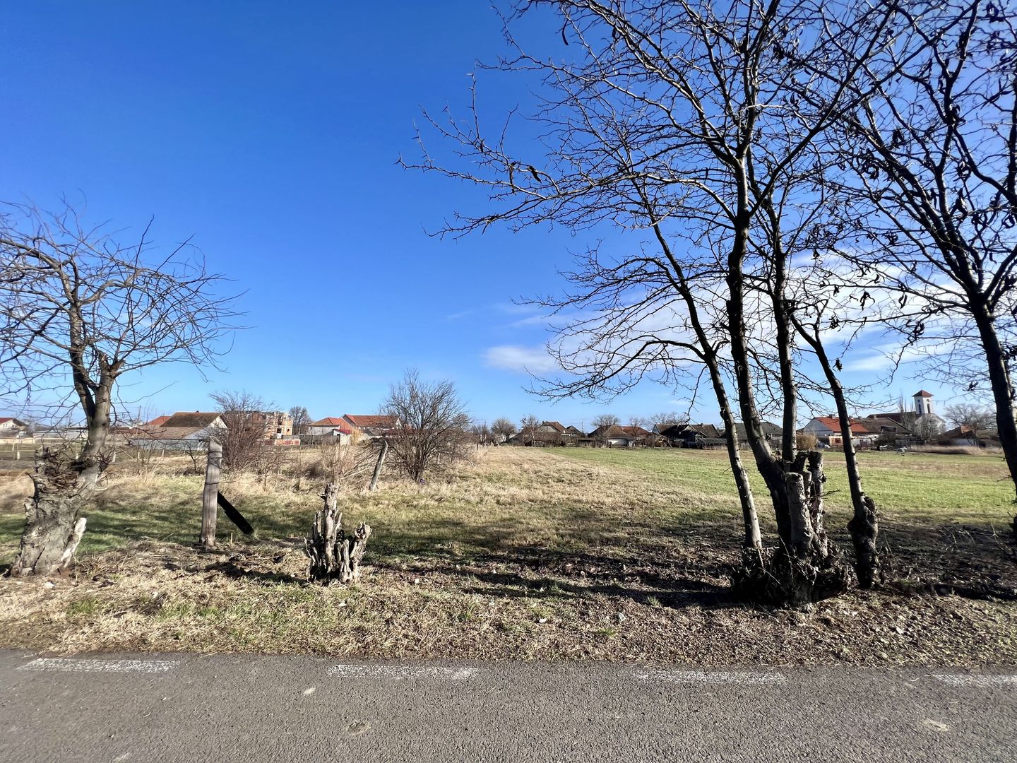 TEREN ZONA CENTRALA - Poză 3