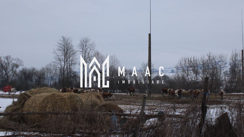 Teren 8000 mp I Intravilan I Utilitati- Vurpar - Poză 4