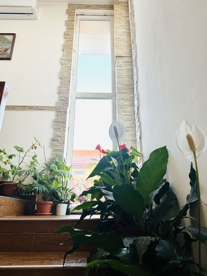 Vila individuala Sacalaz | 5 camere 191 mp, teren 503 mp | Comision 0% - Poză 20