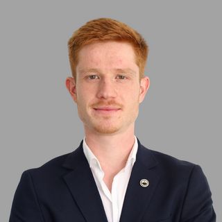 Dariu Dinca - THE BLACK SWAN