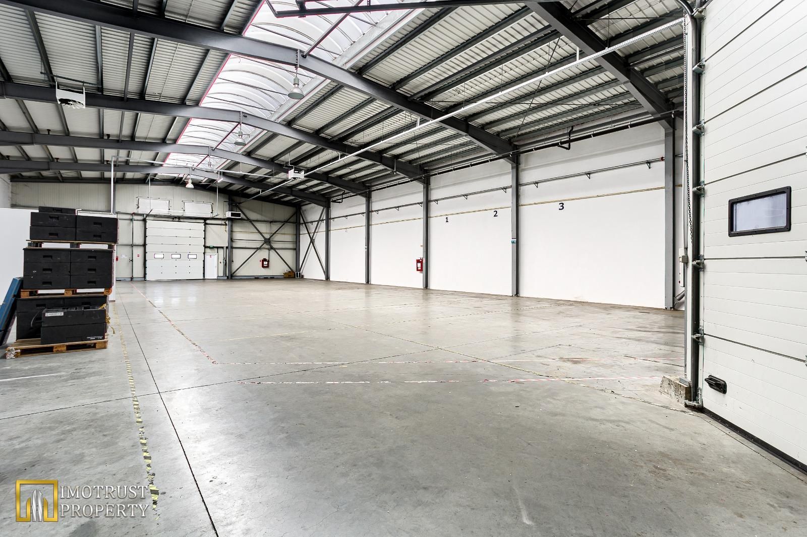 Hala industriala de vanzare, 727 mp – Acces A1, zona logistică Arad - Poză 6