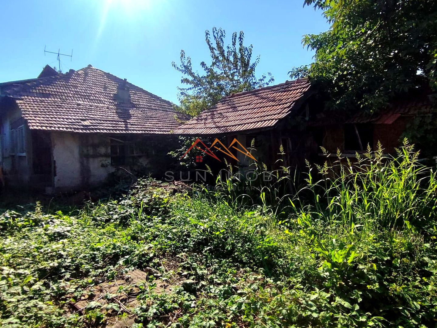 CASĂ DE VÂNZARE | 1.486 MP TEREN | URLETA - Poză 3