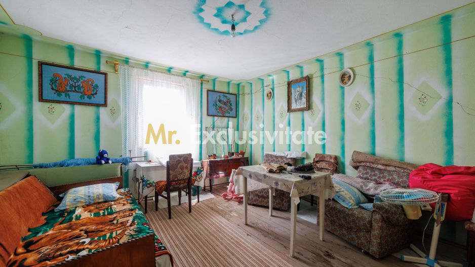 CASA SI GOSPODARIE DE VANZARE – SPINENI, OLT | 4.000 MP TEREN - Poză 9