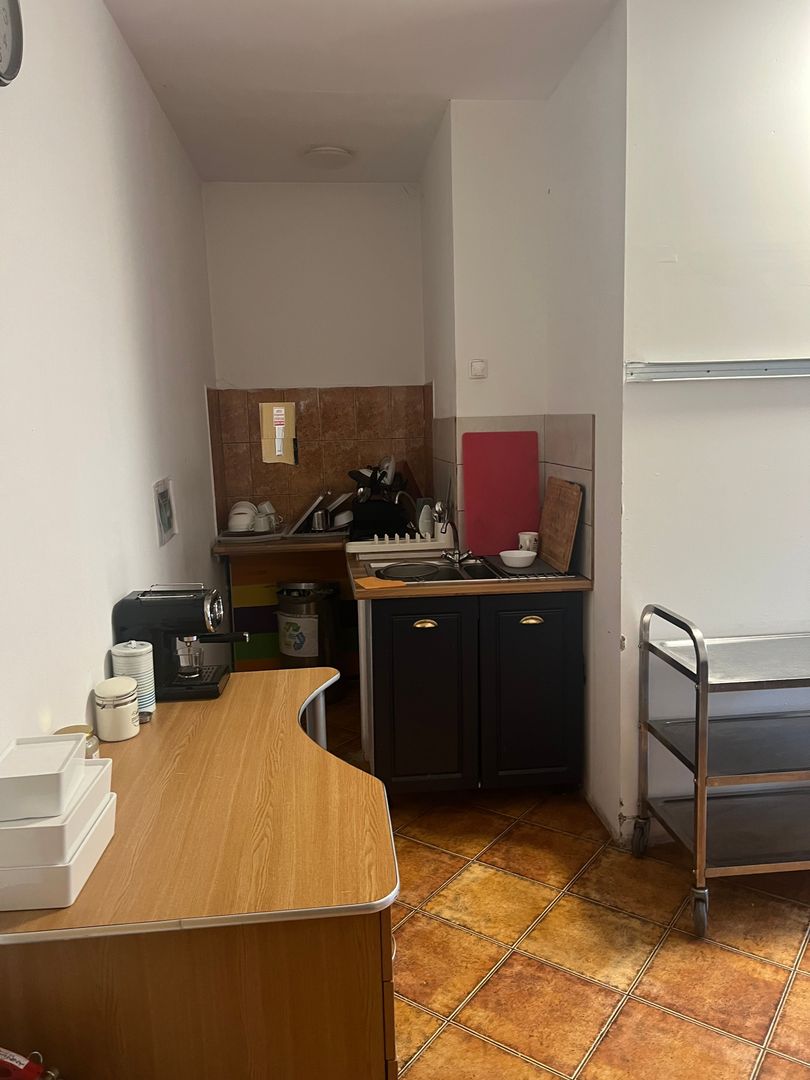 Imobil multifuncțional, 450 mp utili, teren 640 mp, Torontalului - Poză 20