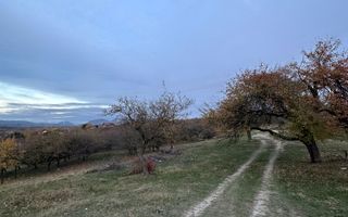 Teren 7199mp Intravilan cu Vedere Panoramica Superbă, Ideal Investitie - Poză 12