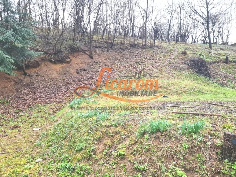 Teren intravilan1291 mp Schei Str Nisipului iesire la Drumul Poienii - Poză 4