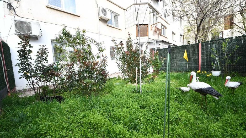 Apartament  3 camere,  zona Doja,parter,la cheie,mobilat si utilat - Poză 25