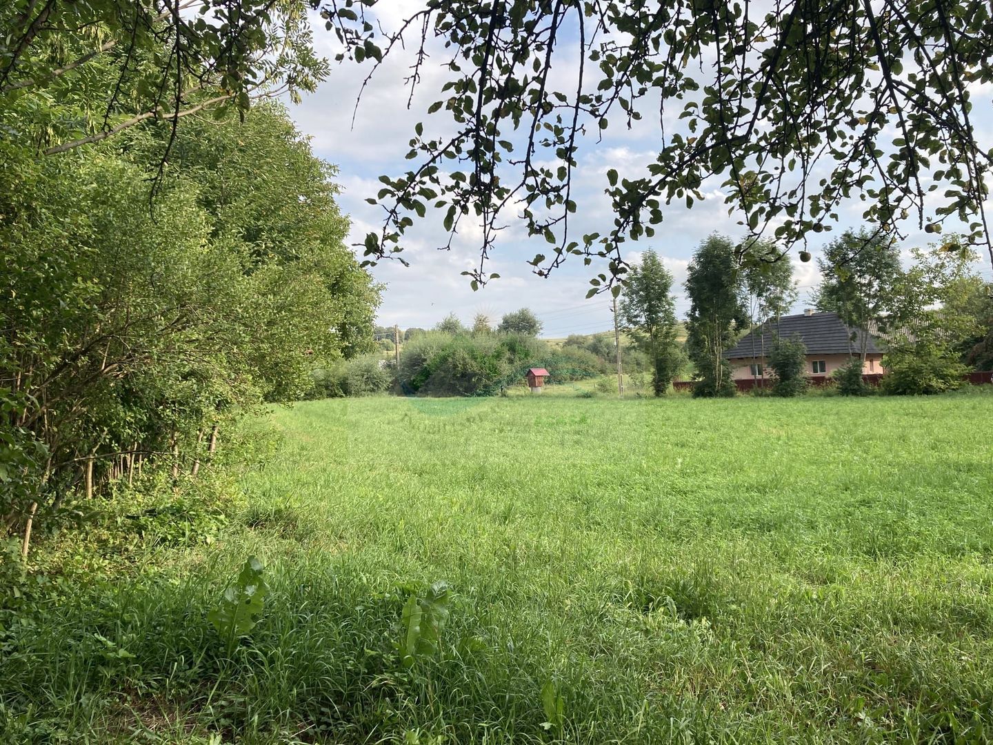 Teren Intravilan 3200 mp de vânzare - Poză 1