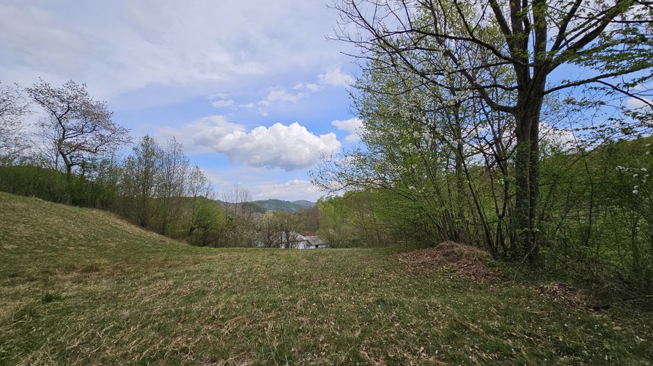 Teren intravilan 1454 mp la marginea padurii zona locuita de case! - Poză 12