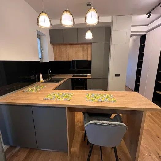 Apartament Aviatiei | Parc Herastrau - Poză 3