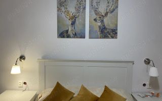 Vând aprtament 2 camere Lujerului - Poză 5