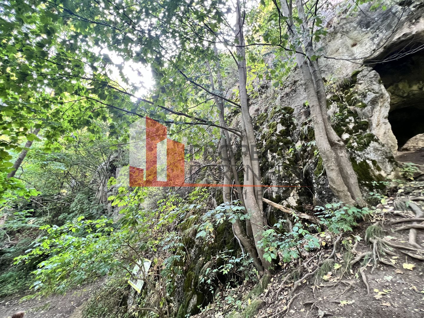 Teren de vânzare langa  Peștera Liliecilor  in Sat Pestera - Poză 14