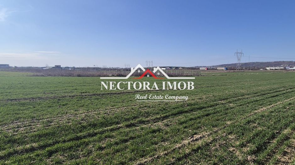 NECTORA IMOB-Teren Intravilan 537 mp, Zona Solay, 250 m de asfalt - Poză 5