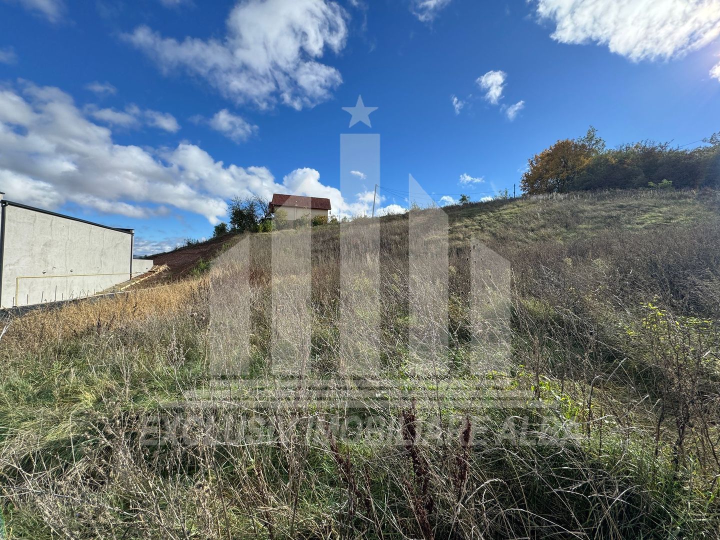 Teren intravilan de vanzare, Micesti - Poză 5