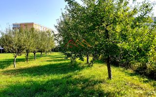 Casa 3 camere, teren 3625 mp, toate utilitatile, Sacele, Brasov - Poză 4