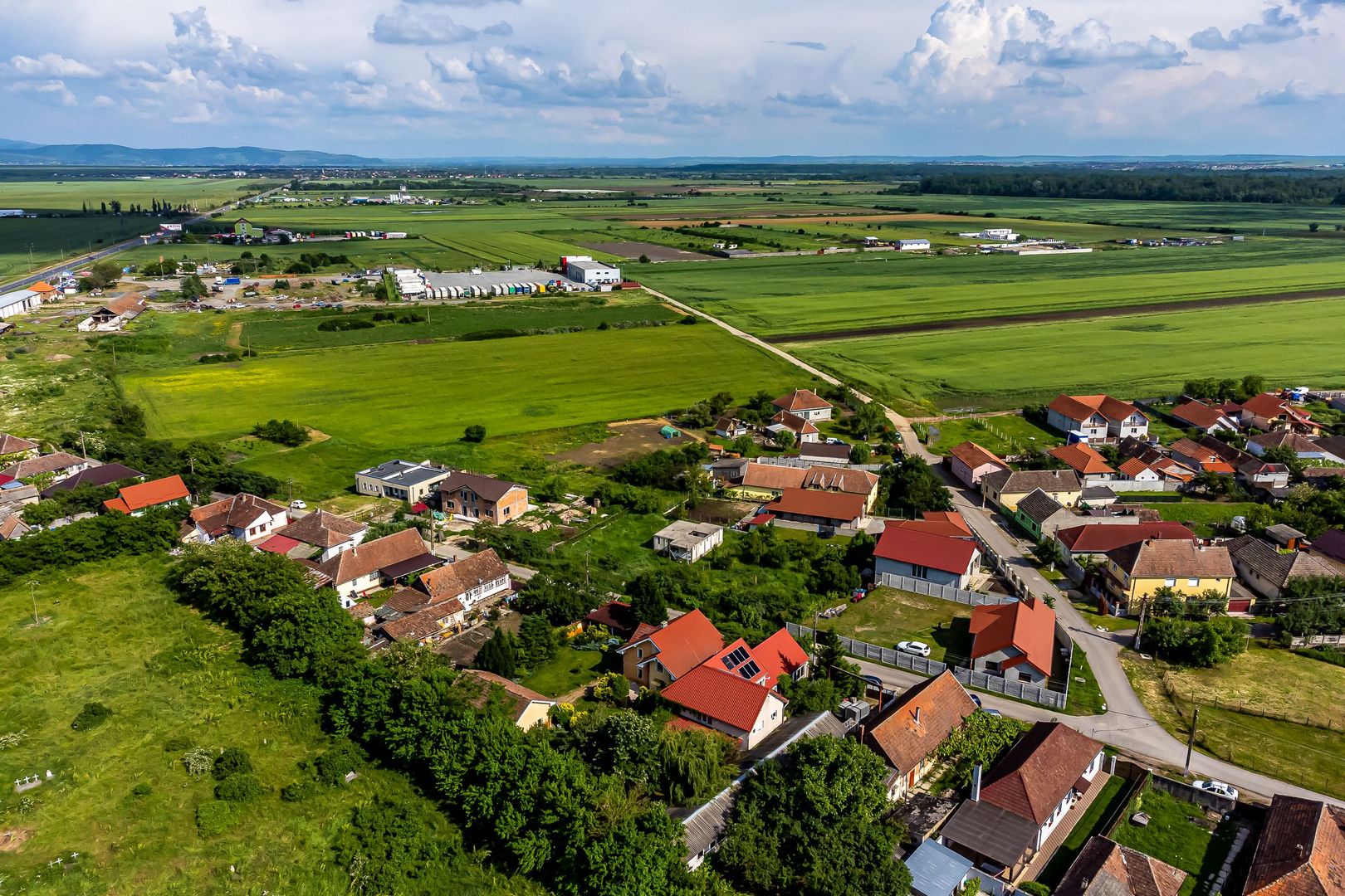 PREȚ REDUS Teren cu proiect casă Vladimirescu - Poză 11