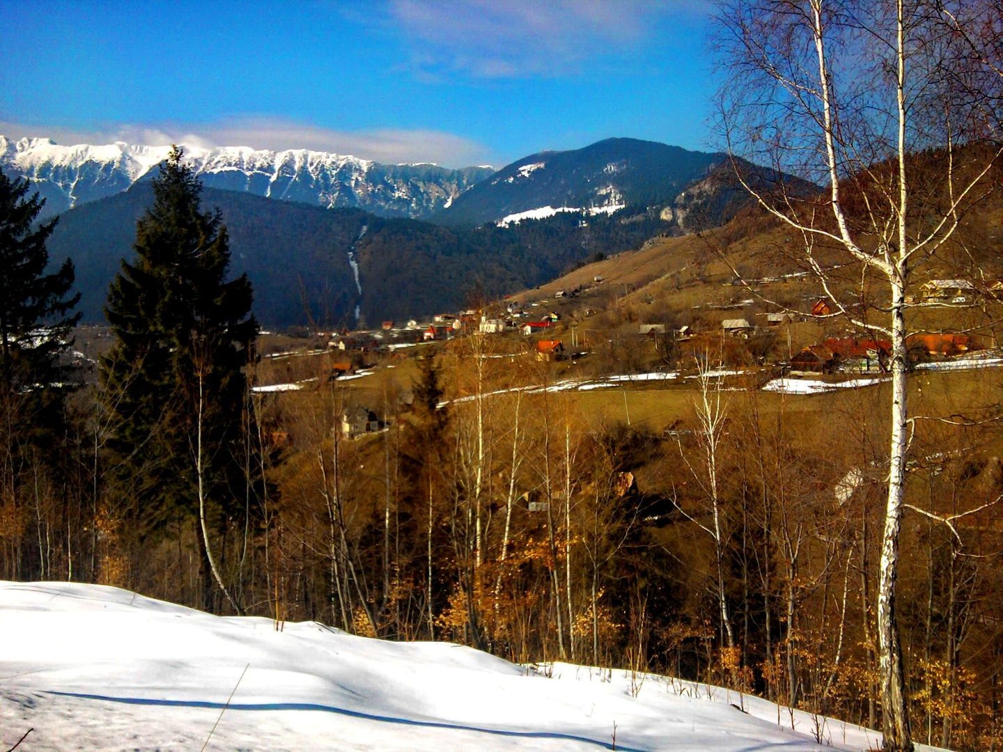 teren intravilan in zona Magura Bran - Poză 8