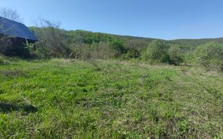 Teren de vis în Stejeriș – utilități, natură, acces rapid! - Poză 5