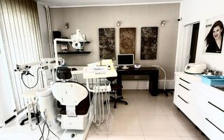 Vila/Spatiu comercial Bd Pipera - Poză 14