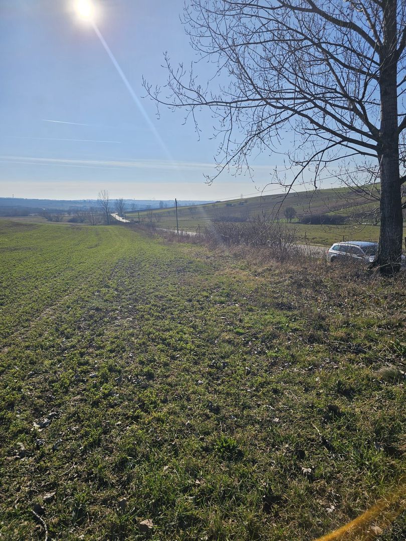 Teren intravilan Cetariu 1500 mp - Poză 6