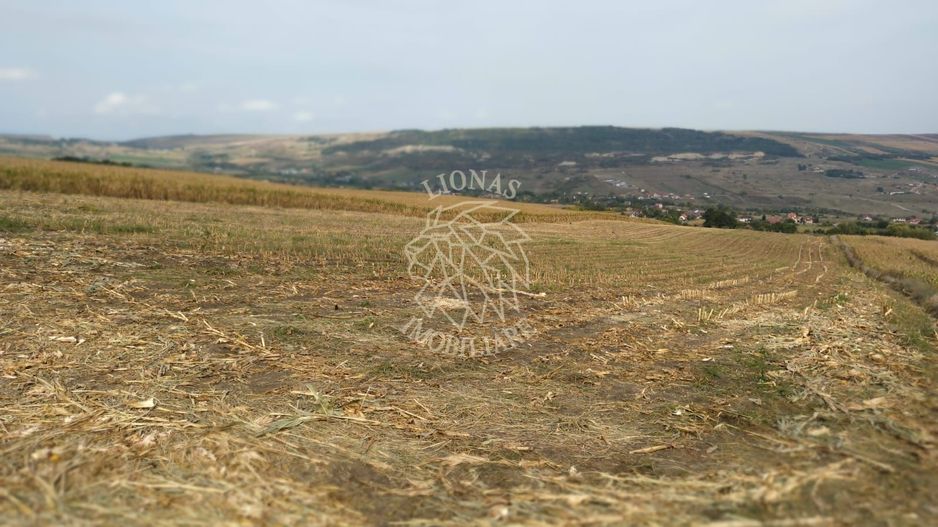 3 Parcele in Zona Fanate-oportunitate unica de investitie-Cluj-Napoca - Poză 2