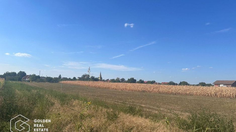 Teren intravilan, Zimandul Nou, posibilitate construire casa, 2200 mp - Poză 4