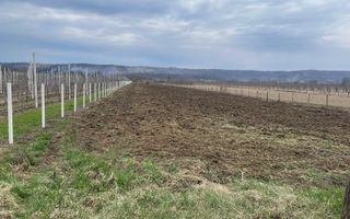 Oportunitate pentru investitie!Vanzare teren in Voinesti - Poză 1