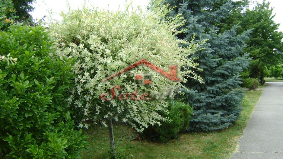 Pensiune turistică de vânzare – Cornu, Valea Prahovei - Poză 27