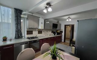 Apartament 2 camere - Etaj 3- Cris Estate Bucium-Visan - Poză 4