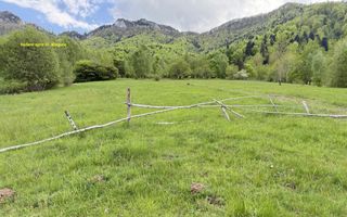 Teren intravilan 5.261 mp Tohănița | Deschidere 49 m | Utilități, lângă pădure - Poză 8