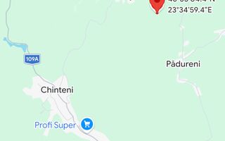 Teren intravilan de vanzare | 2.900 mp | Macicasu, com. Chinteni | La - Poză 1