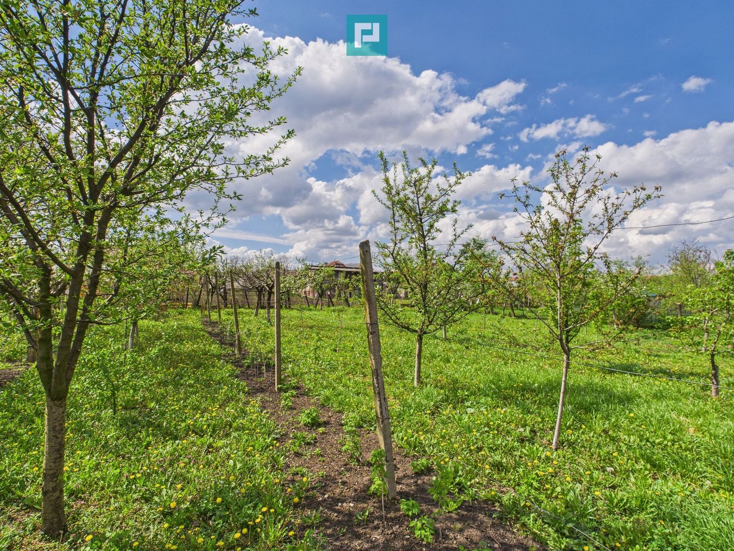 Casă individuală la Beregsău Mare, 2890 mp teren - Poză 29