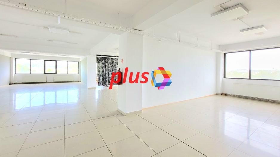 Spatiu comercial de inchiriat - 1.000 mp - Poză 4