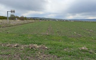 Teren extravilan | Horodnic de Sus – zona Osoi | 50 de Ari - Poză 6
