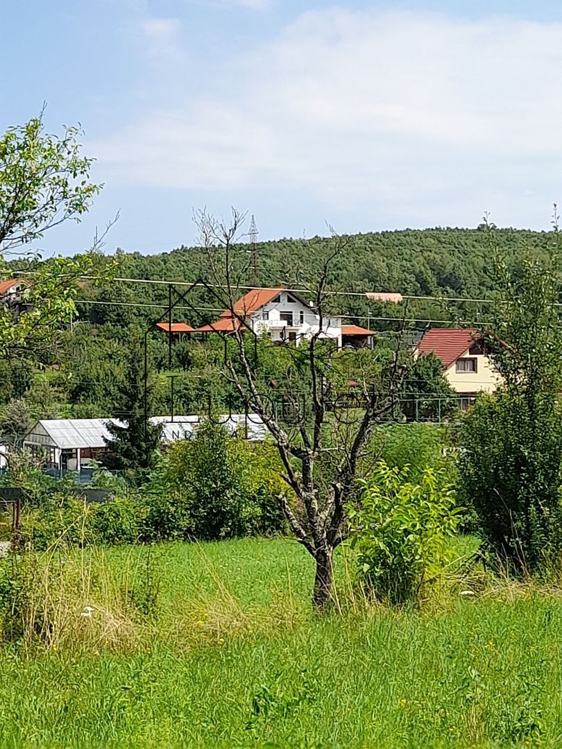 Teren Intravilan | 1500 MPU | Tocile, Comuna Sadu - Poză 5