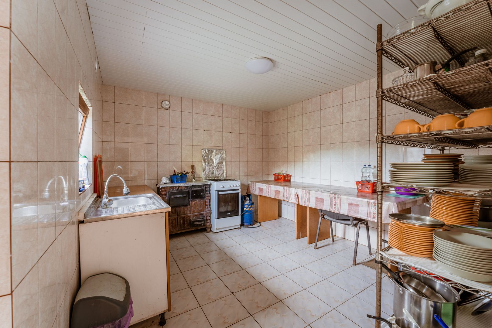 Domeniu în satul Căprioara - Poză 49