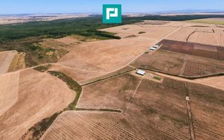 Teren intravilan agricol 558.500 mp Chevereșu Mare - Poză 6