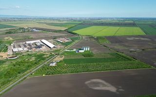 Livadă de nuci și pruni 2.4ha în Variașul Mare - Poză 4