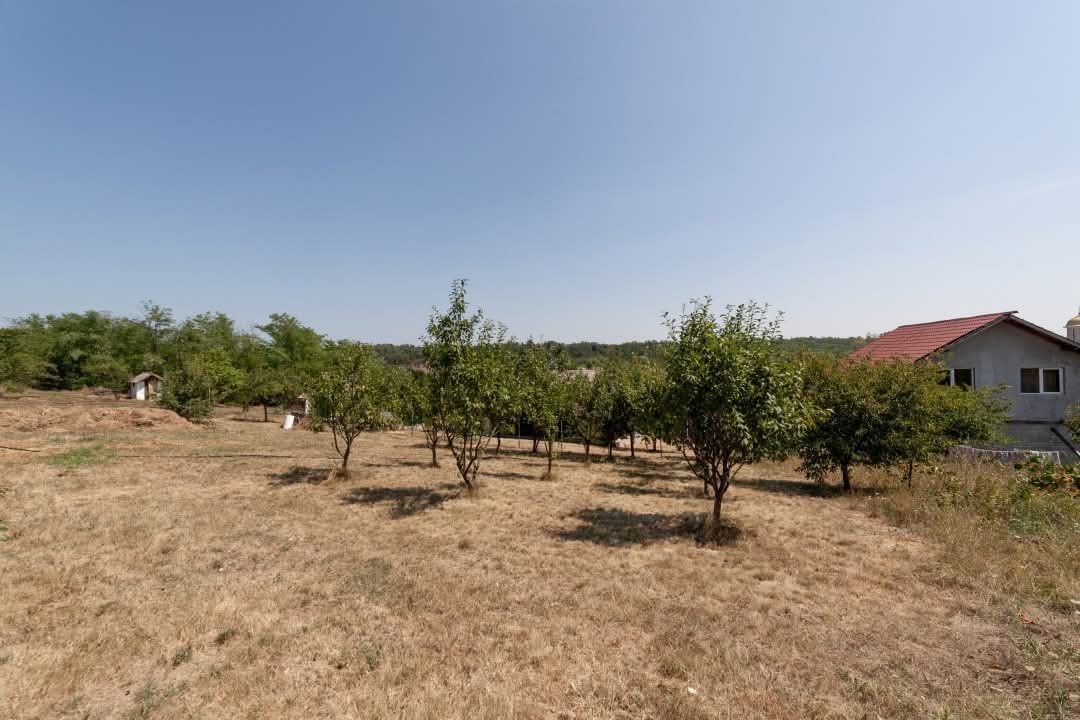 Casa Podul Broșteni- Arges! - Poză 12