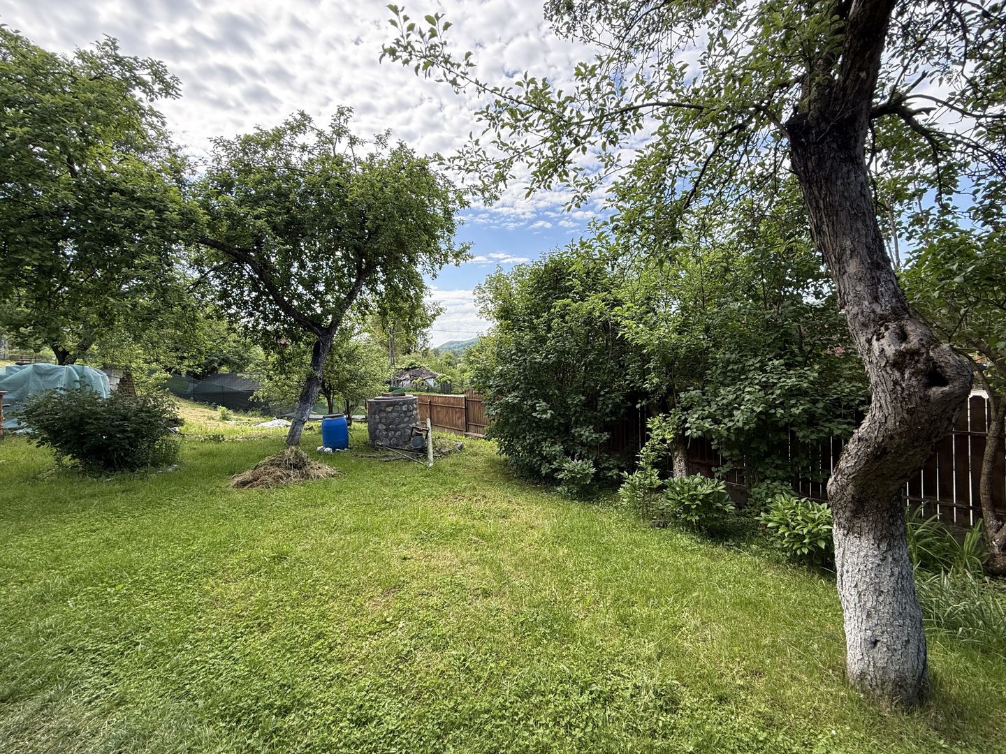 2 Case + teren 1390 mp langa parcul central Provita de Sus - Poză 40