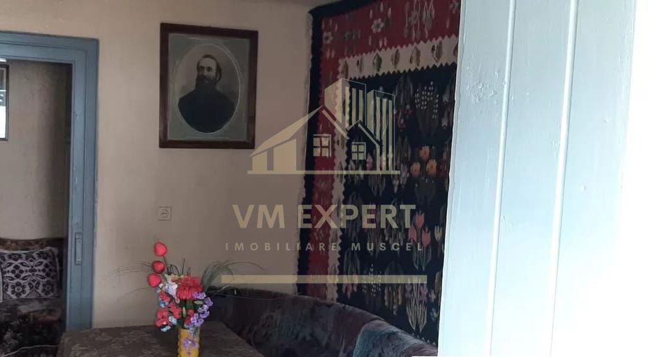 CASA 3 CAMERE, TEREN 5000 MP, RUCAR, ARGES - Poză 10