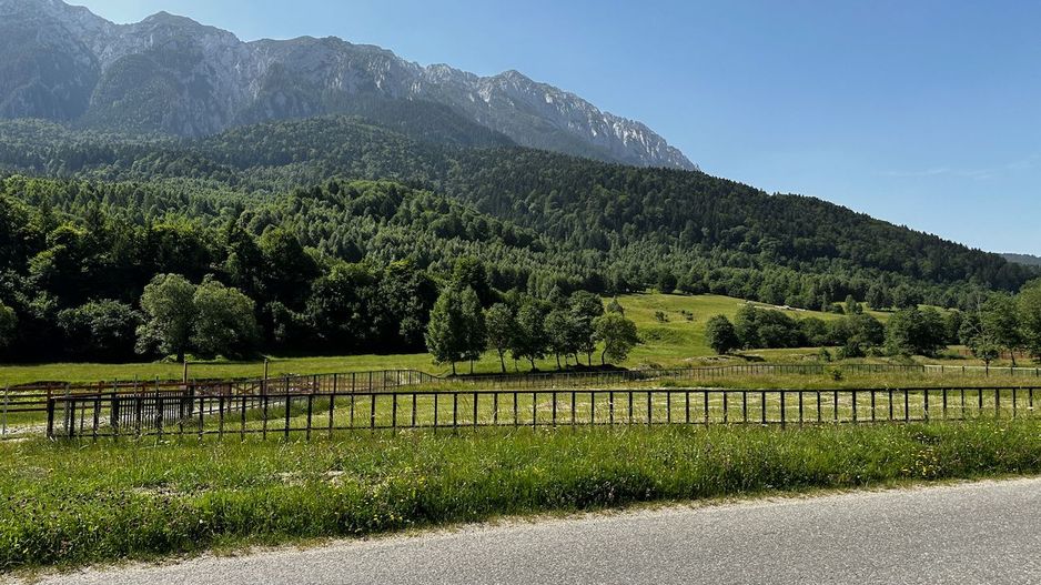 Teren intravilan - 1117 mp în Plaiul Foii - Poză 9