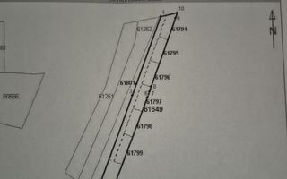 TEREN TOMESTI 35 EURO MP NEGOCIABIL - Poză 3